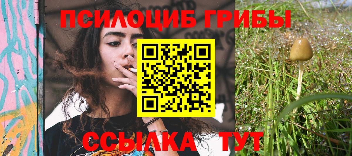 Нерюнгри  Галлюциногенные грибы Psilocybine cubensis  Вход с VPN  Псилоцибиновые грибы прущие грибы 